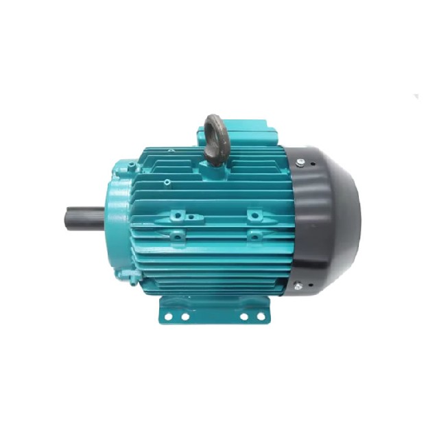 Brook Crompton WP-DA184TS-S2 三相感應電動機